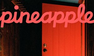 Airbnb - Pineapple Magazine